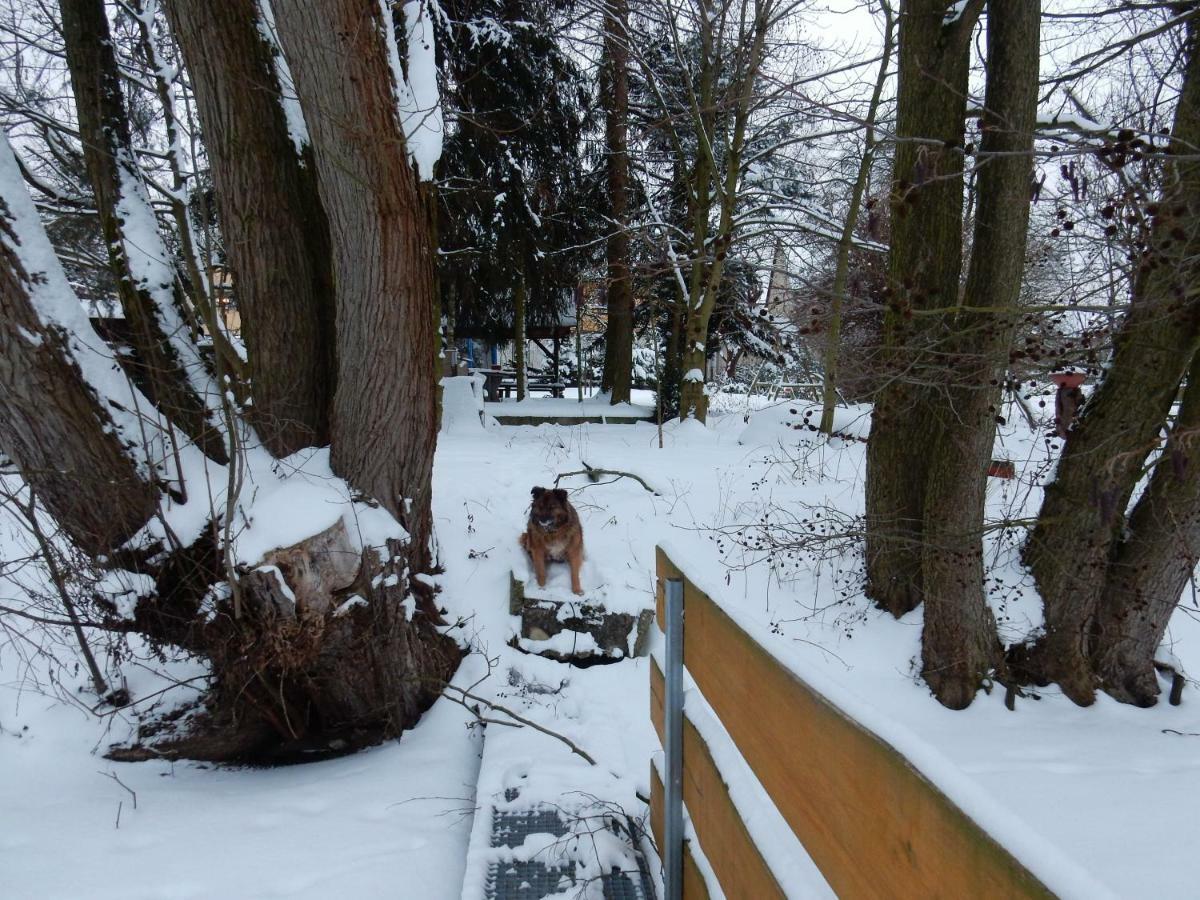 Pension Ute Zeulenroda-Triebes Exteriér fotografie